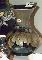 zoom